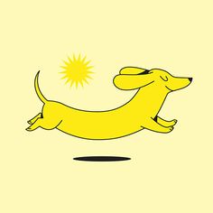 a yellow dachshund running with the sun in its mouth