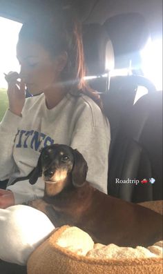 a woman sitting in the back seat of a car next to a brown and white dachshund