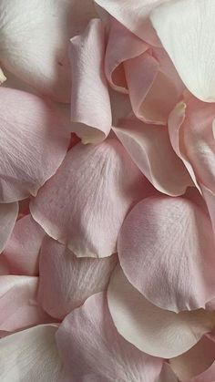 pink and white flowers are scattered together