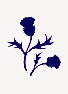 the silhouette of two flowers against a white background is seen in this image, it appears to be blue