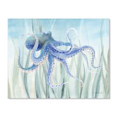 an octopus is swimming in the water