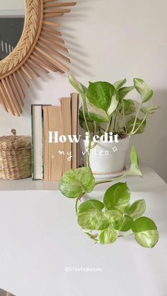 a potted plant sitting on top of a white table next to a book shelf