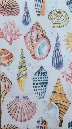 an image of colorful seashells on white paper