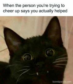 a black cat looking up at the camera with caption that reads, when the person you're trying to cheer up says you actually helped