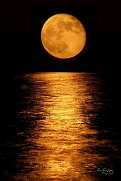 the full moon is reflected in the water