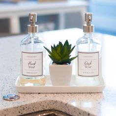 two bottles on a counter with a plant in it