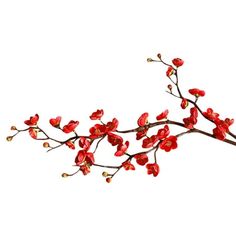 a branch with red flowers on it against a white background