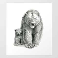 a drawing of a bear and her cub