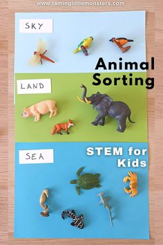 an animal sorting activity for kids to learn how to use the same sort of animals