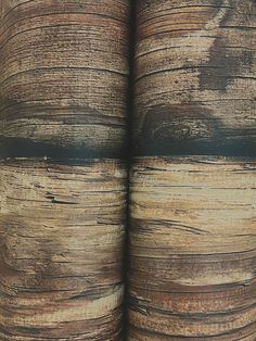 an open book with wood grains on it