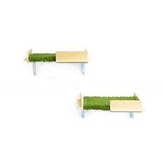 two wooden shelves with grass growing on them