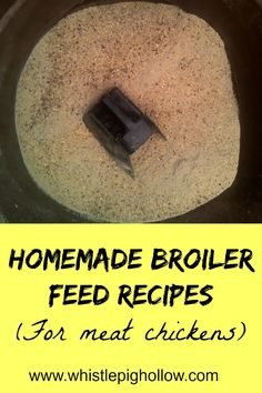 homemade broiler feed recipe for meat chickens in a cast iron skillet with text overlay