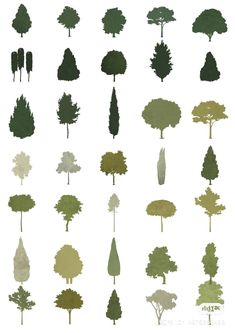 trees are shown in different shades and sizes