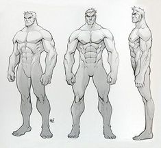 three different views of a man's body and torso, from the front to the back