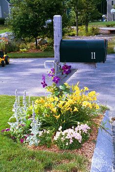 a mailbox in the middle of a flower bed with flowers growing out of it