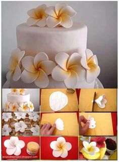 a collage of pictures showing how to decorate a cake with flowers on top and bottom