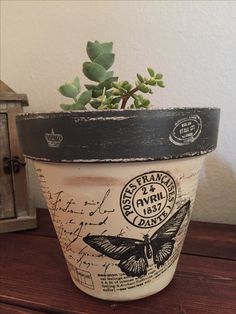 a potted plant sitting on top of a wooden table