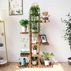 a wooden shelf filled with potted plants next to a wall mounted teddy bear on top of it