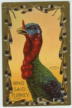 a painting of a turkey with feathers on it's head and the words who said turkey?