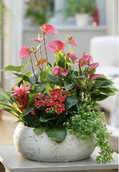 a potted plant sitting on top of a table next to a white vase filled with flowers