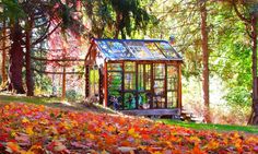 a small house in the woods surrounded by autumn leaves