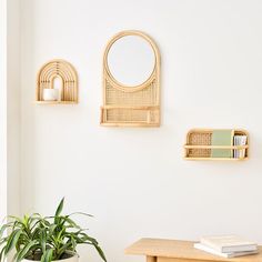 a table with a potted plant, mirror and books on the wall above it