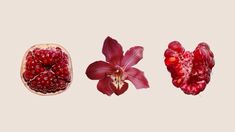 three different types of flowers and fruit on a white background