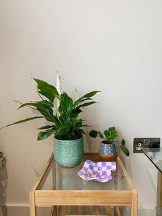 two potted plants sitting on top of a glass table