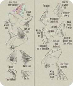 an image of how to draw a cat's head with pencils on paper