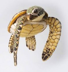 a stuffed turtle is in the air with it's head above its back and eyes open