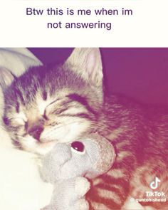 a cat is sleeping with its head on a stuffed animal and the caption reads, btw this is me when i'm not answering