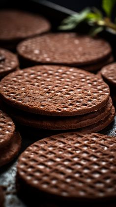 chocolate cookies are arranged in rows on a table with green leafy plant behind them