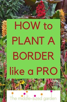 how to plant a border like a pro