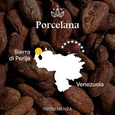 a bunch of cocoa beans with the word porcelana on it in front of them