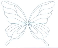 the outline of a butterfly's wings