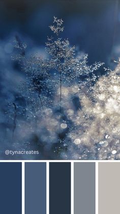 blue and gray color palette with snow flakes on it, in the foreground