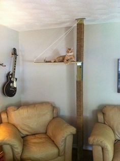 a living room with two couches and a guitar hanging on the wall