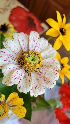 several different colored flowers in a vase on top of a wooden table with red, yellow and white flowers