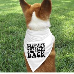 a brown and white dog sitting on top of a lush green field wearing a bandana