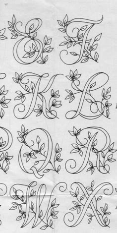 an old fashioned alphabet with flowers and leaves