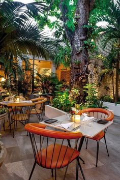 an outdoor dining area with palm trees and tables set for two, surrounded by potted plants