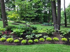 a garden with lots of green plants and trees in the background, surrounded by grass