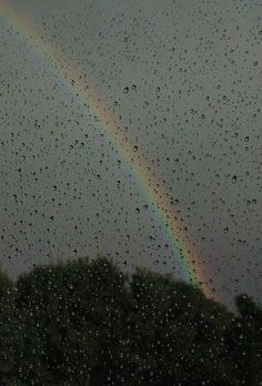 a rainbow in the sky with rain drops on it and trees behind them at night