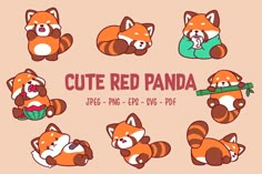 cute red pandas with different expressions on their faces and body, all in cartoon style