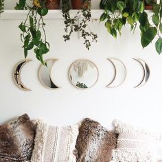 a couch with pillows and plants hanging on the wall