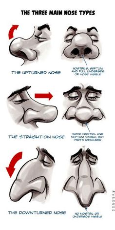 the instructions for how to draw nose and nose with different facial expressions on each side