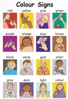 an image of different types of signs for children to learn how to use the colors