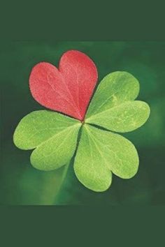 a four leaf clover with a red heart on it's center and green leaves in the background