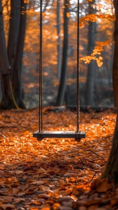 a swing in the woods with leaves on the ground