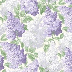 purple and green flowers are on a white background with leaves in the foreground, as well as an image of lilacs